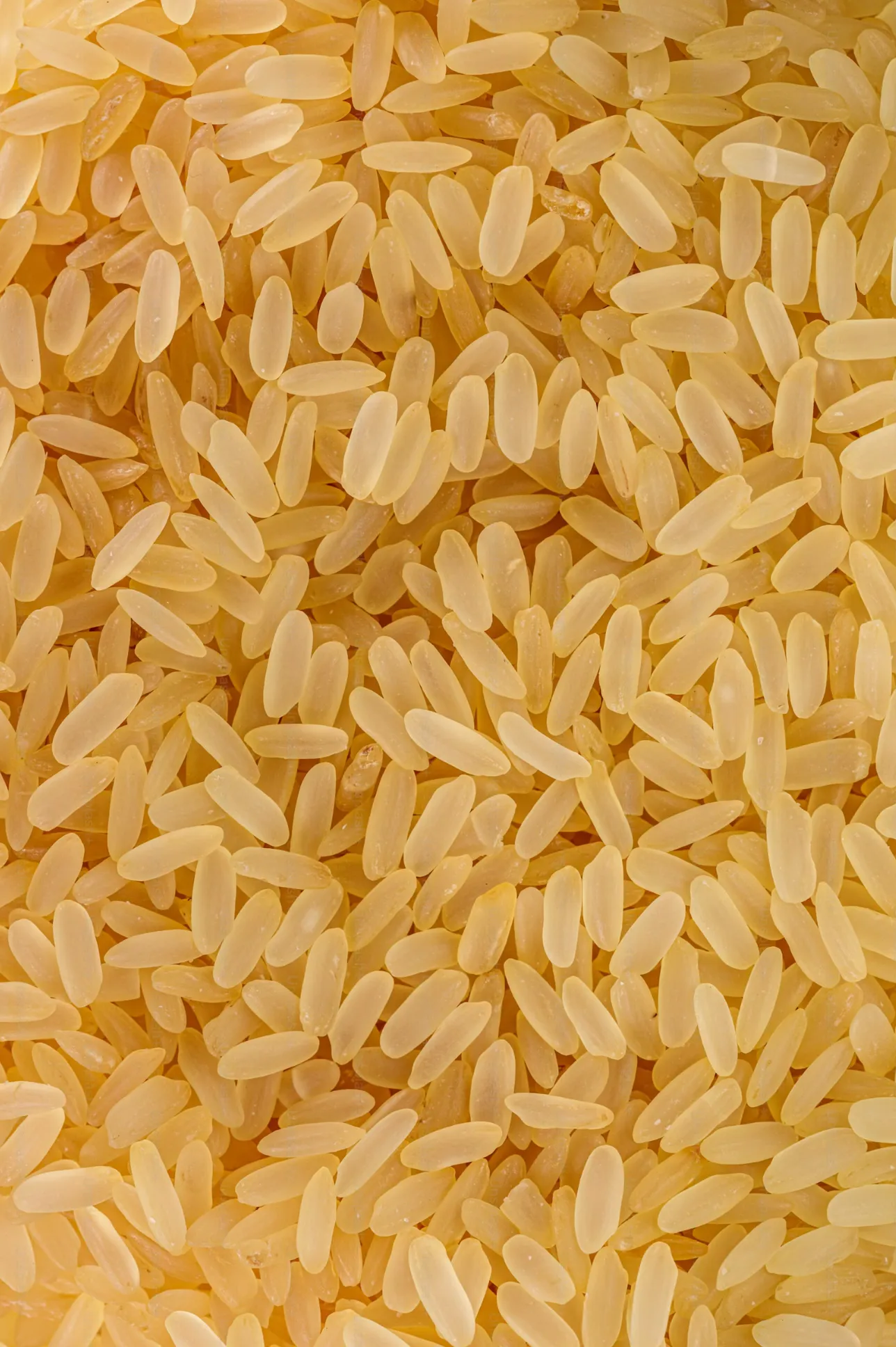 Matta Rice